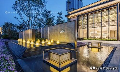 南宁豪宅爆料最新消息,揭秘最新豪宅项目及价格走势  第2张